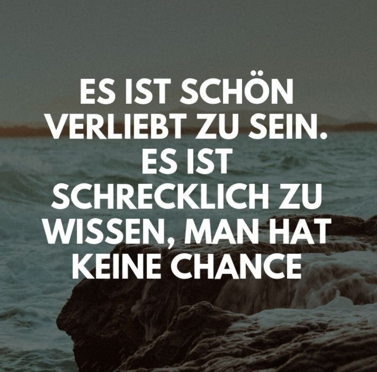 Carina (@knuddl69) on Twitter photo 