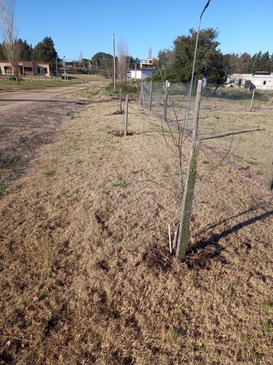 Ignacio Gaudin tweet media