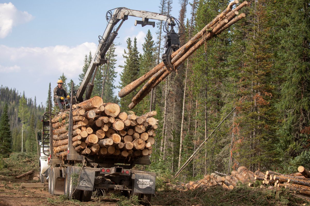 Safety and Access Alert: Machinery and logging trucks are operating on FSR 170 near the Deadman Fire Tower on Canyon Lakes Ranger District. Maintain distance from equipment, and expect delays up to 30 minutes. Roads are open. Work is occurring Monday-Friday through November.