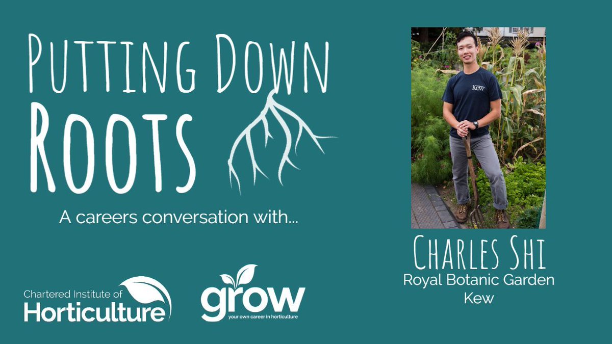 📽️ CIH REWIND 📽️ 
Charles Shi, a former winner of the Young Horticulturist of the Year competition, discussed his career at The Royal Botanic Gardens Kew as a Botanical Horticulturist with Victoria George, organiser of the YHOY competition youtu.be/B5g6hmkc0xI
