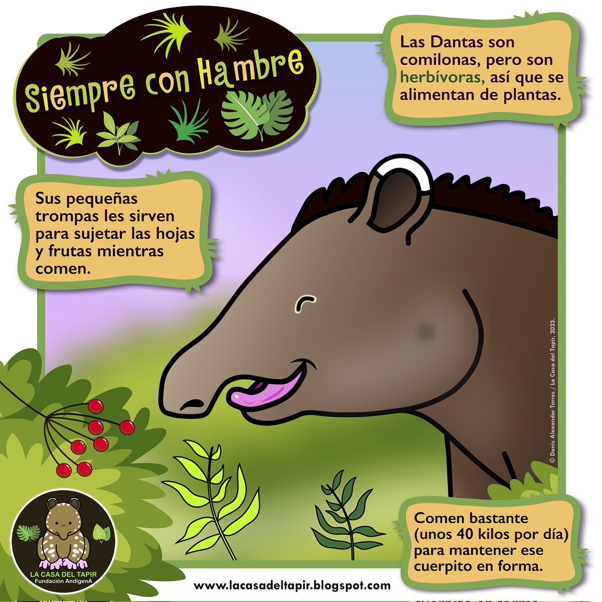 Este material educativo fue posible gracias al apoyo dado a La Casa del Tapir por Patricia Bünnagel, Jan Mathia (Hufteam Frankfurt), Immanuel Stricker, Gillian O'Grady, David Berver, Carolina Villegas y Silvia Luraghi.

#visiontorres #danta #lacasadeltapir #educacionambiental