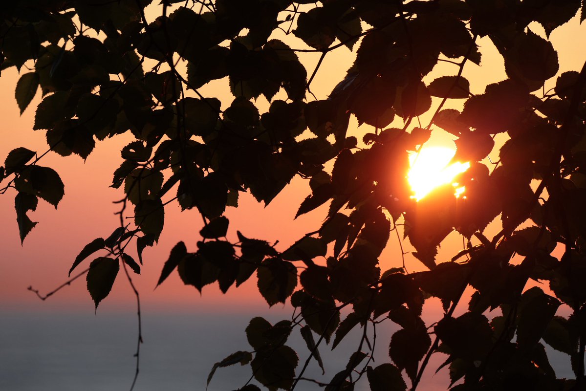 BugsySailor's tweet image. Sunrise 2,391. It was a clumsy one. As it goes every now and again.