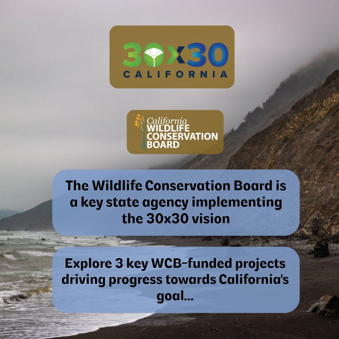 Wildlife Conservation Board tweet media