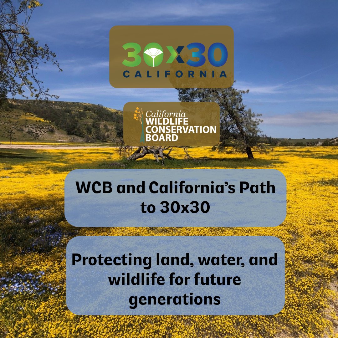 Wildlife Conservation Board tweet media