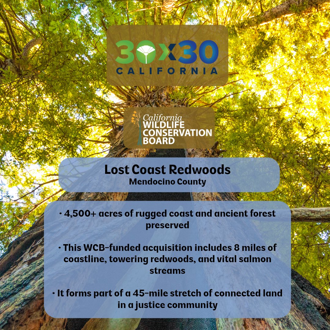 Wildlife Conservation Board tweet media