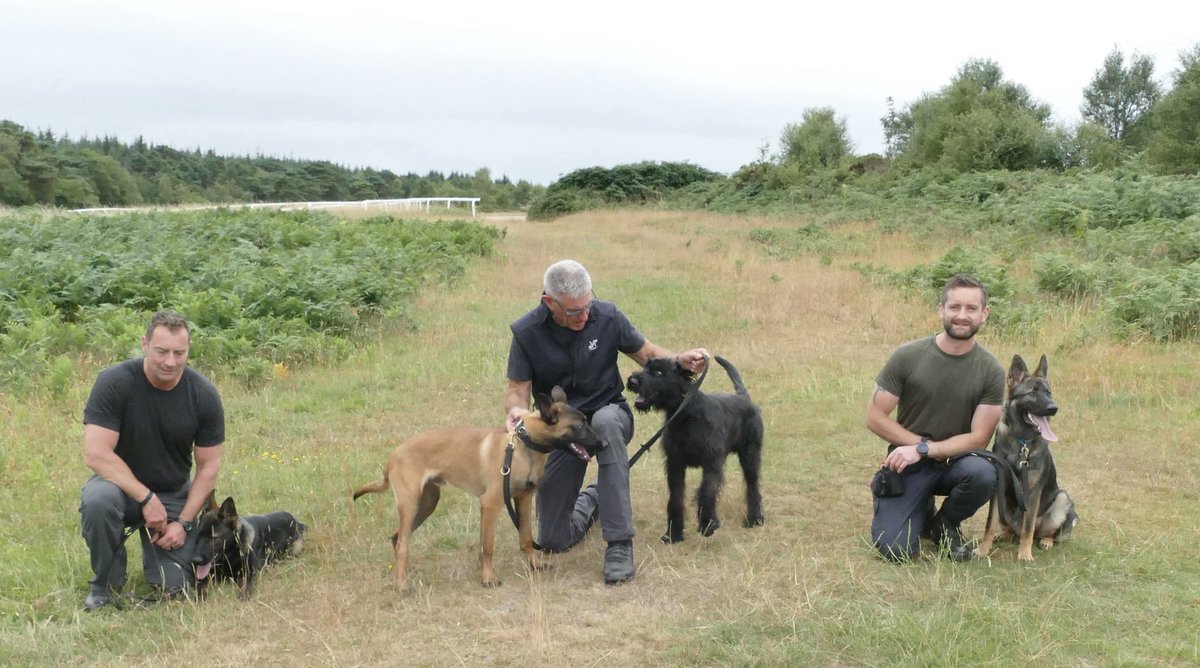 DC_Police Dogs ( Puppy Development Program) tweet media