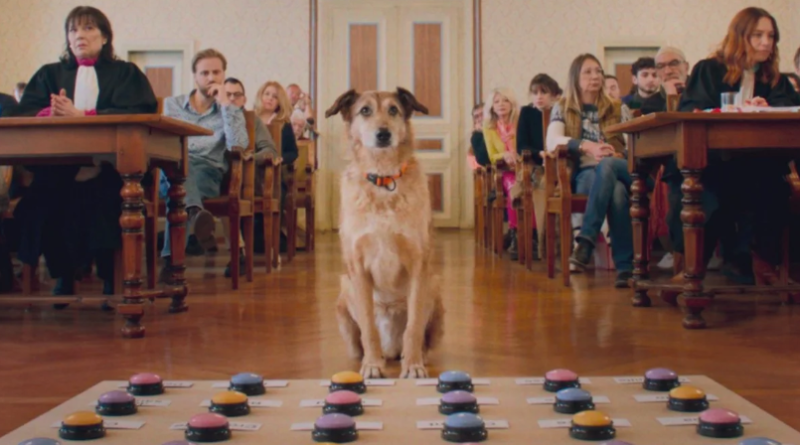 AWFJ's tweet image. As one might expect, the furry co-star of #DogonTrial (Proces Du Chien), a satire about gender and animal rights, steals the movie, says @womenrockfilm. But its shifts in tone might leave viewers feeling betrayed. More in her review here.
awfj.org/blog/2025/07/1…
