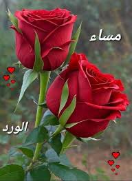 نوف بنت خالد (@nka_qtr) on Twitter photo 