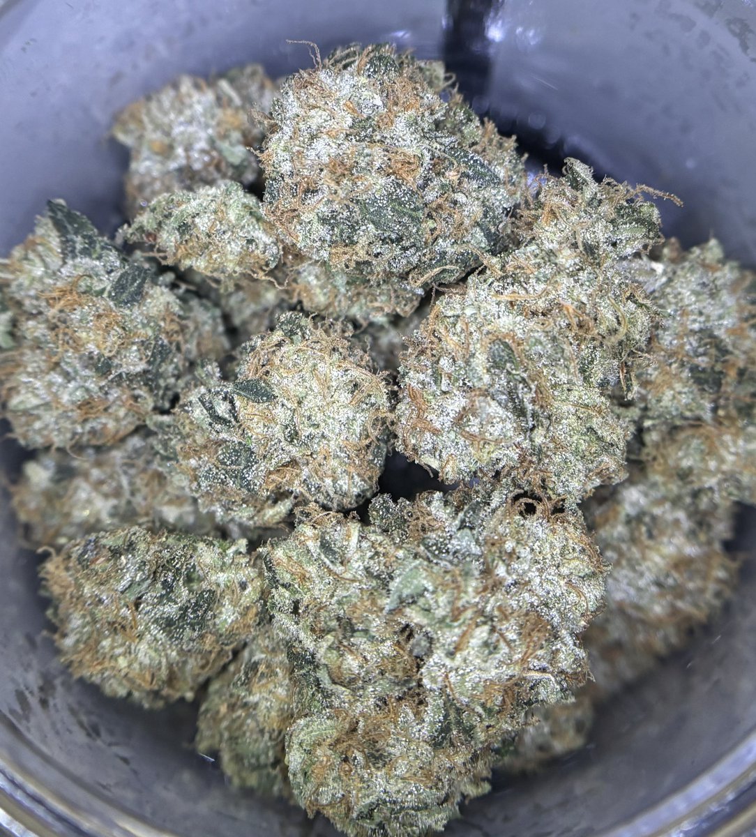 limonenefiend's tweet image. Hushle - Chem 91 x Trade Secret ๐คซ
classic โuglyโ chem but glowed way up ๐
classic chem inhale with a flavorful grapefruit exhale that keeps getting better as it smokes ๐ฎโ๐จ๐ฅ
One of the best iterations of one of the best classics + some
@hushlemania ๐ฅ
@PacksFifthAve ๐