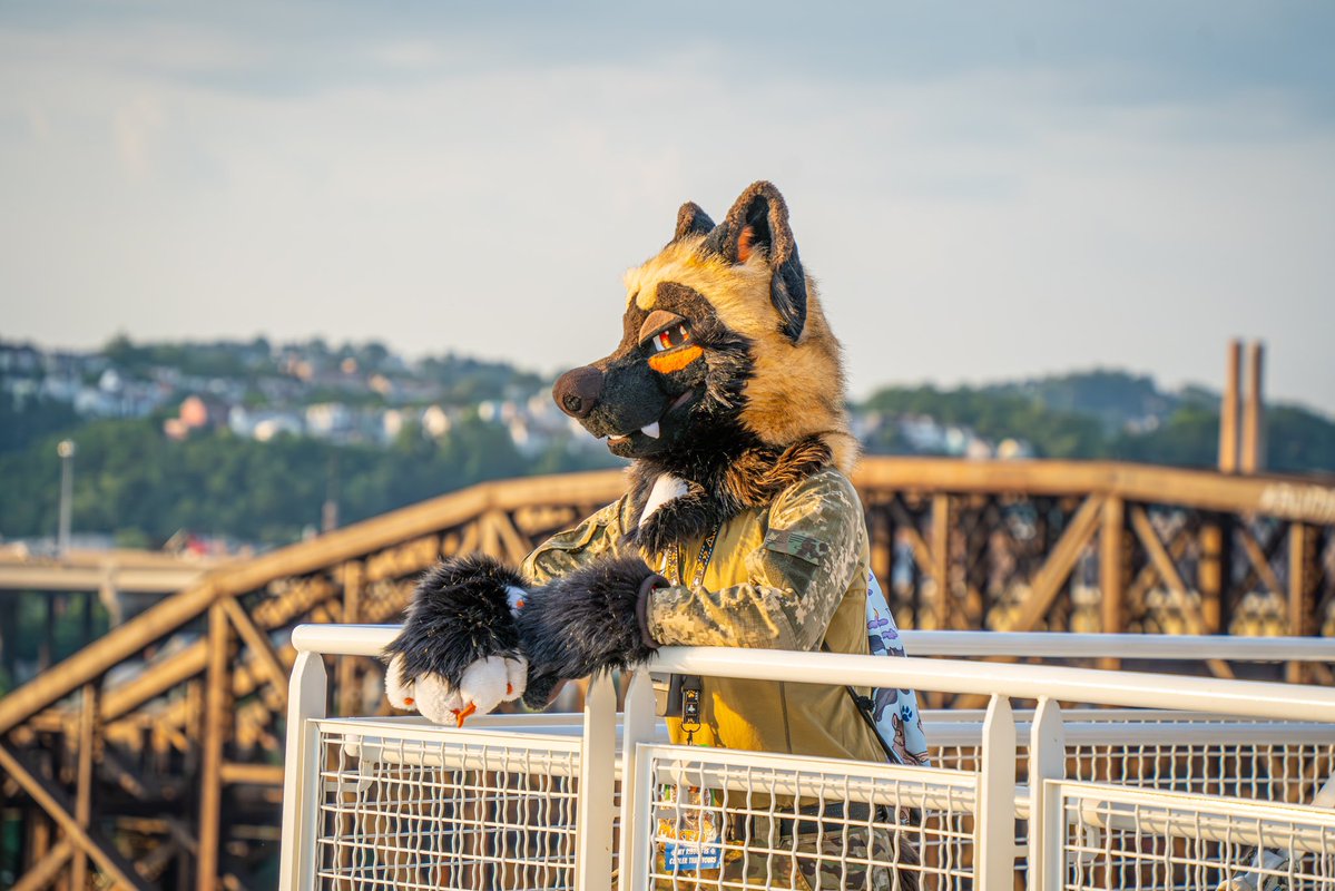 MaximMalinois's tweet image. It has come to my attention that it’s once again #FursuitFriday. Hope it’s been a great one for everyone! Come find me at the Pitt furbowl tomorrow!