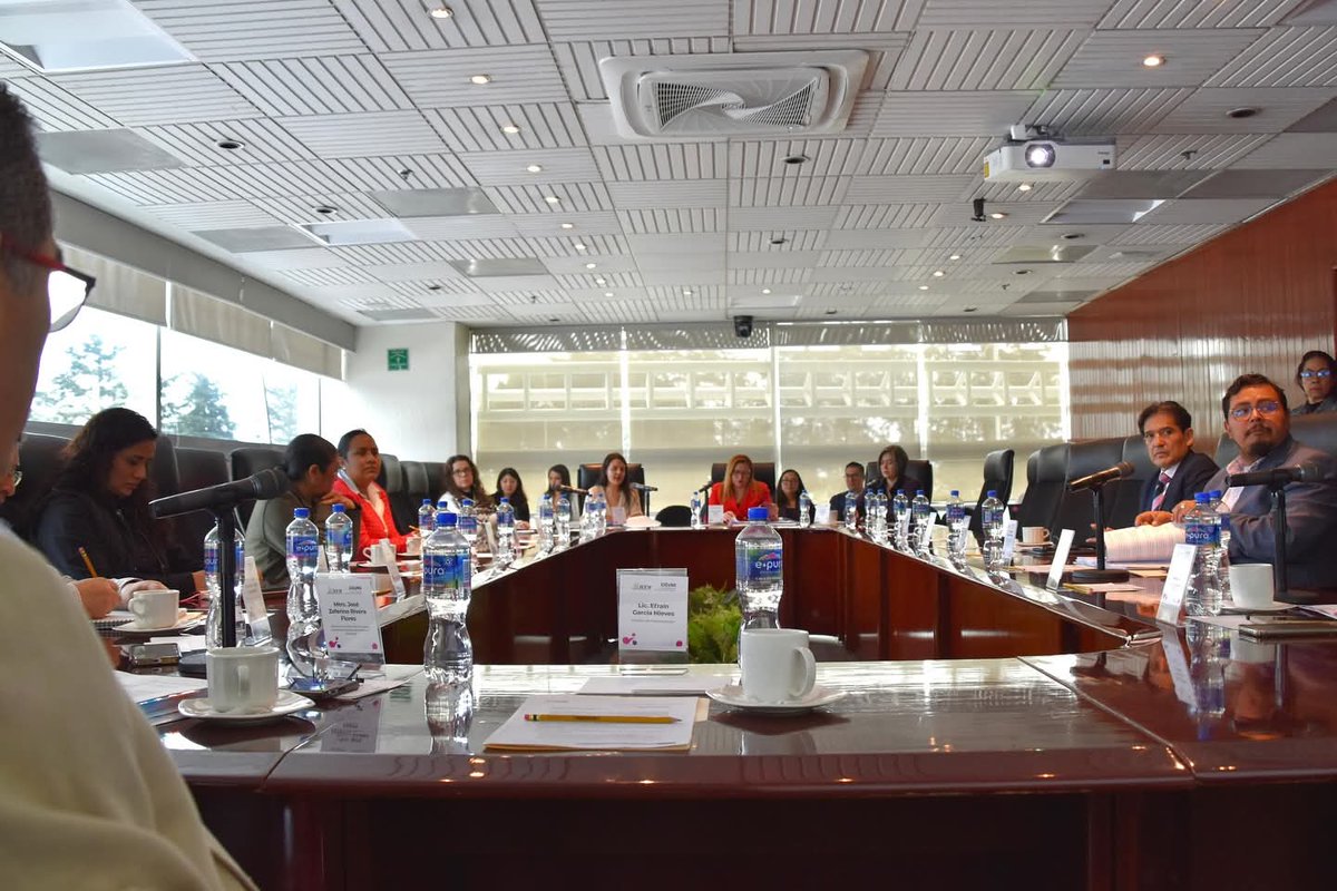 Esta mañana en el <a href="/IEEM_MX/">IEEM</a> asistí como invitada a la 4ª Sesión Ordinaria de la Comisión de Igualdad de Género y No Discriminación en presencia de los representantes de los partidos políticos.
Te comparto el link: 
youtube.com/live/KFpaGGYtf…