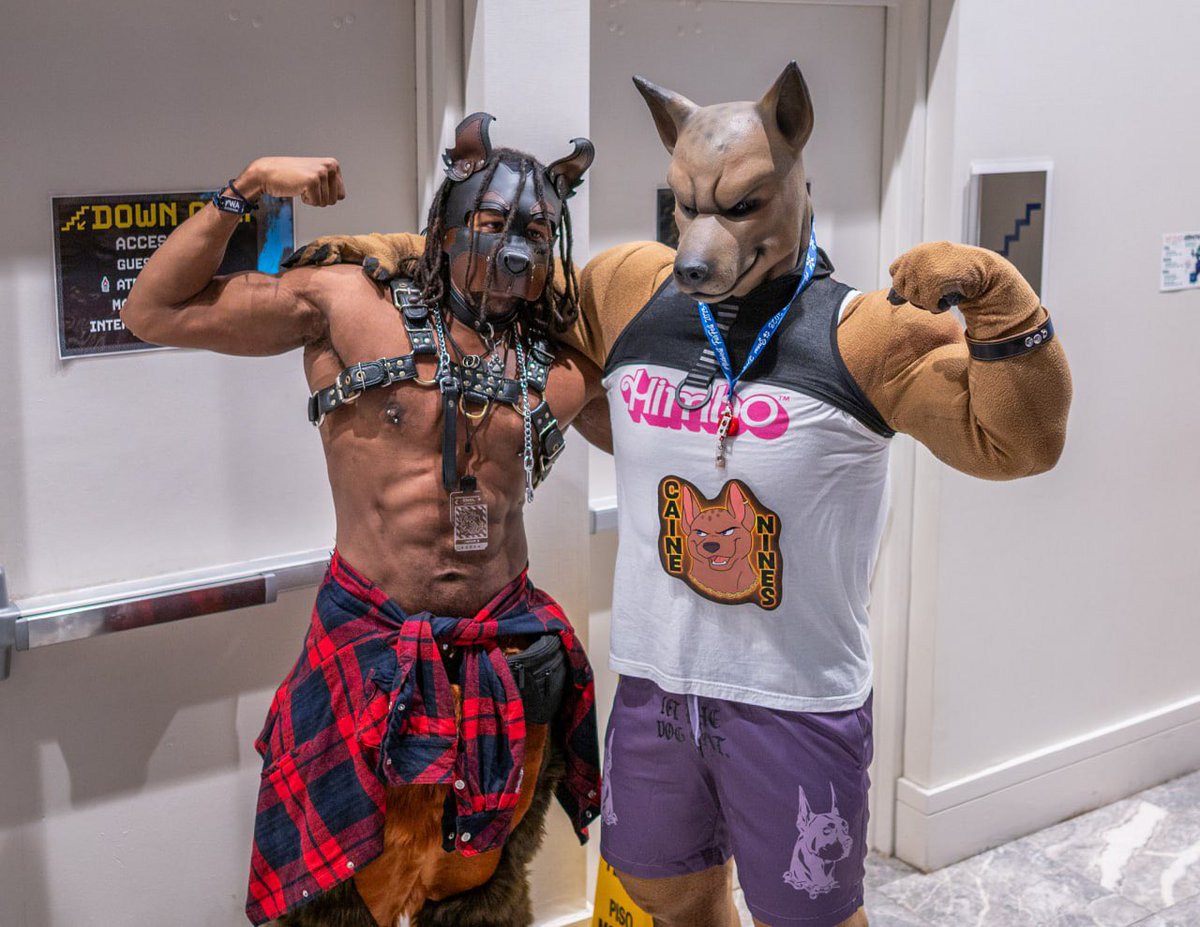 cainenines's tweet image. Give em what they&apos;re asking for!

With @jinothestray at @FurryWeekend

#furry #fursuit #puppy #dog #xolo #fwa #FWA25