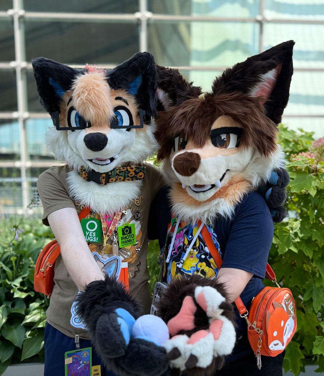 StardustFoxArt's tweet image. Two foxes offer you their last egg! 🥚 Would u accept? 🦊
I miss u Anthrocon,,
#FursuitFriday !!
🦊: @SoarinTF2
📸: @ApolloWusky6240