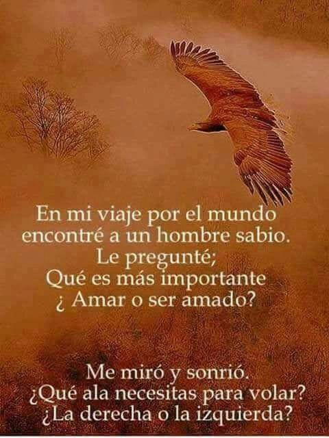 Arielinux (@arielinux) on Twitter photo 