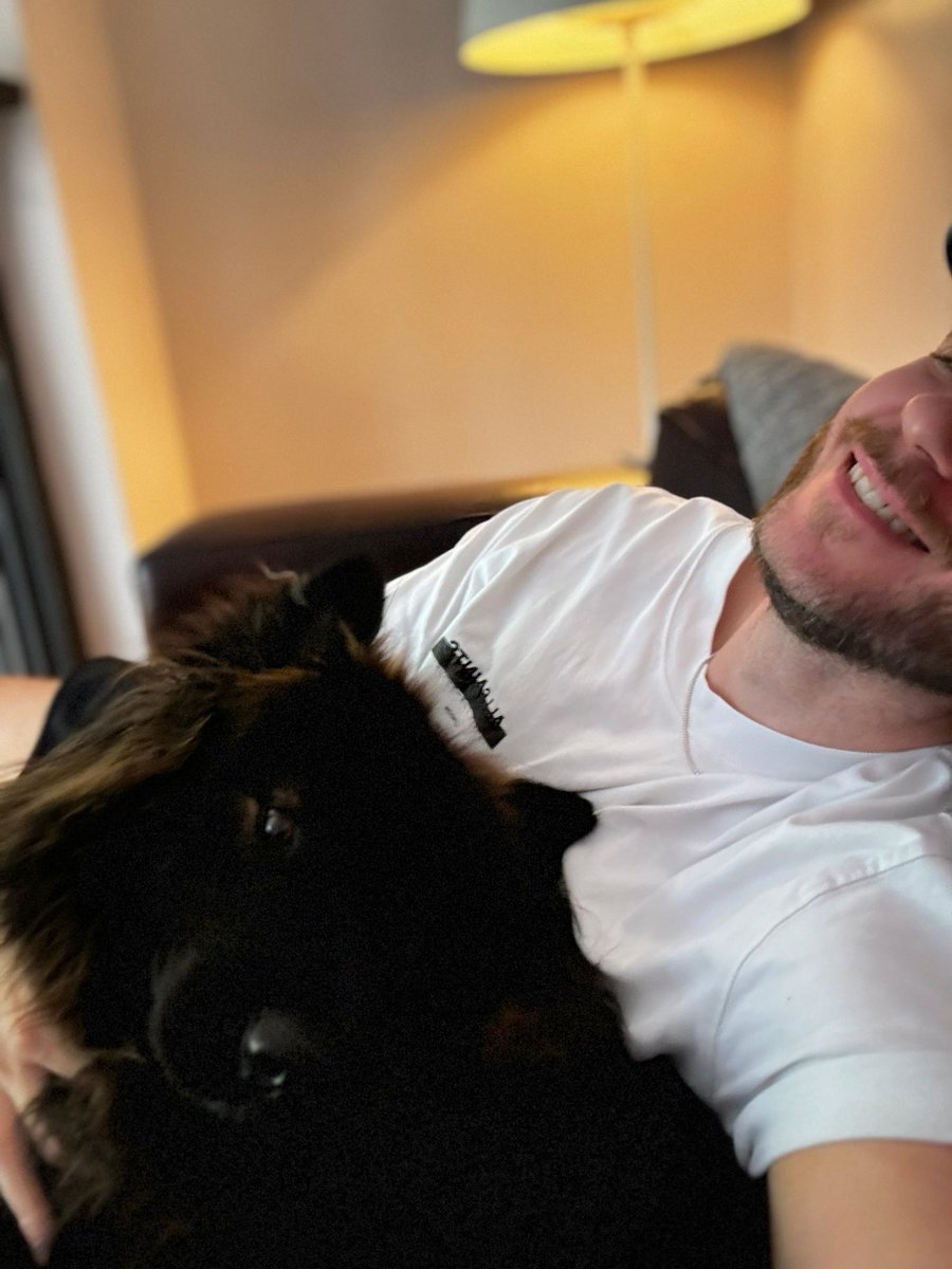 LBListon's tweet image. Everyone gets cute snaps with their dogs, mine just wont. Proper cute though