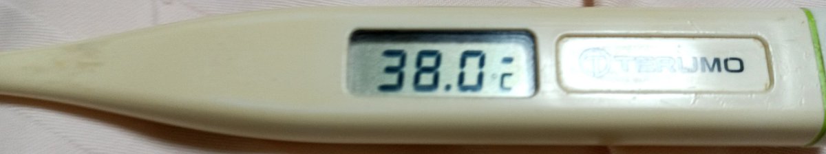 L1UIUDh9XfTSTki's tweet photo. おはようございます！
太宰府市なう(2025/07/19 04:21:57)
晴のち曇40%35℃25℃⛅

あれ〜再発🤒
夕方まで何ともなく元気やったけど〜
ズンときた！😱
風邪がぶり返した！今日は薬飲んで、ゆっくり休もうっと🥱
もしかして、いつものバターンかも🏥

今日も何事もない穏やかな日でありますように！🍀 https://t.co/MZLfZ1vXkd