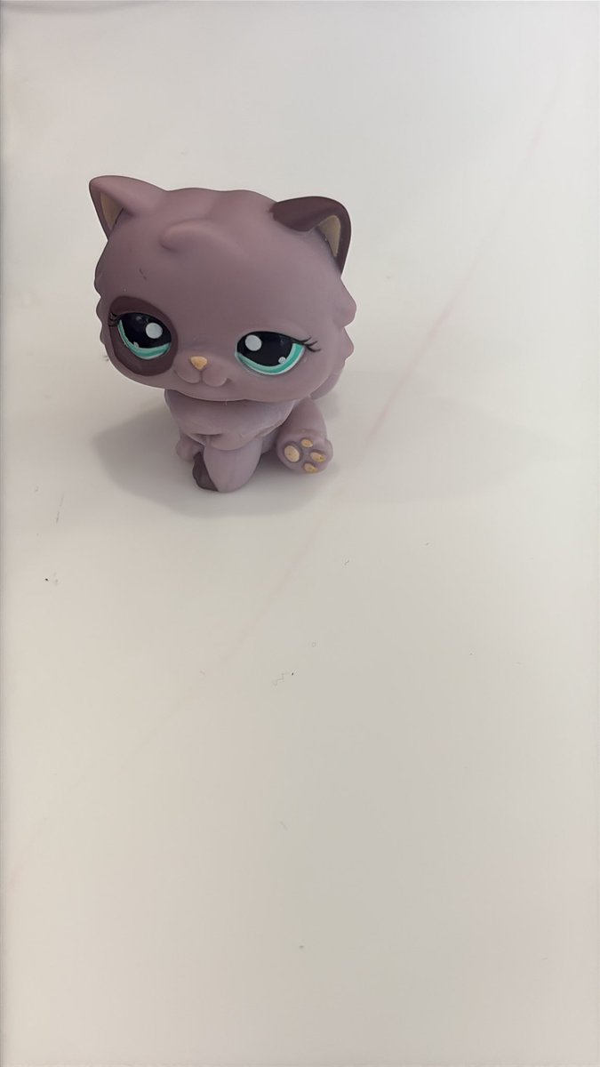 dracucherryy's tweet image. cat