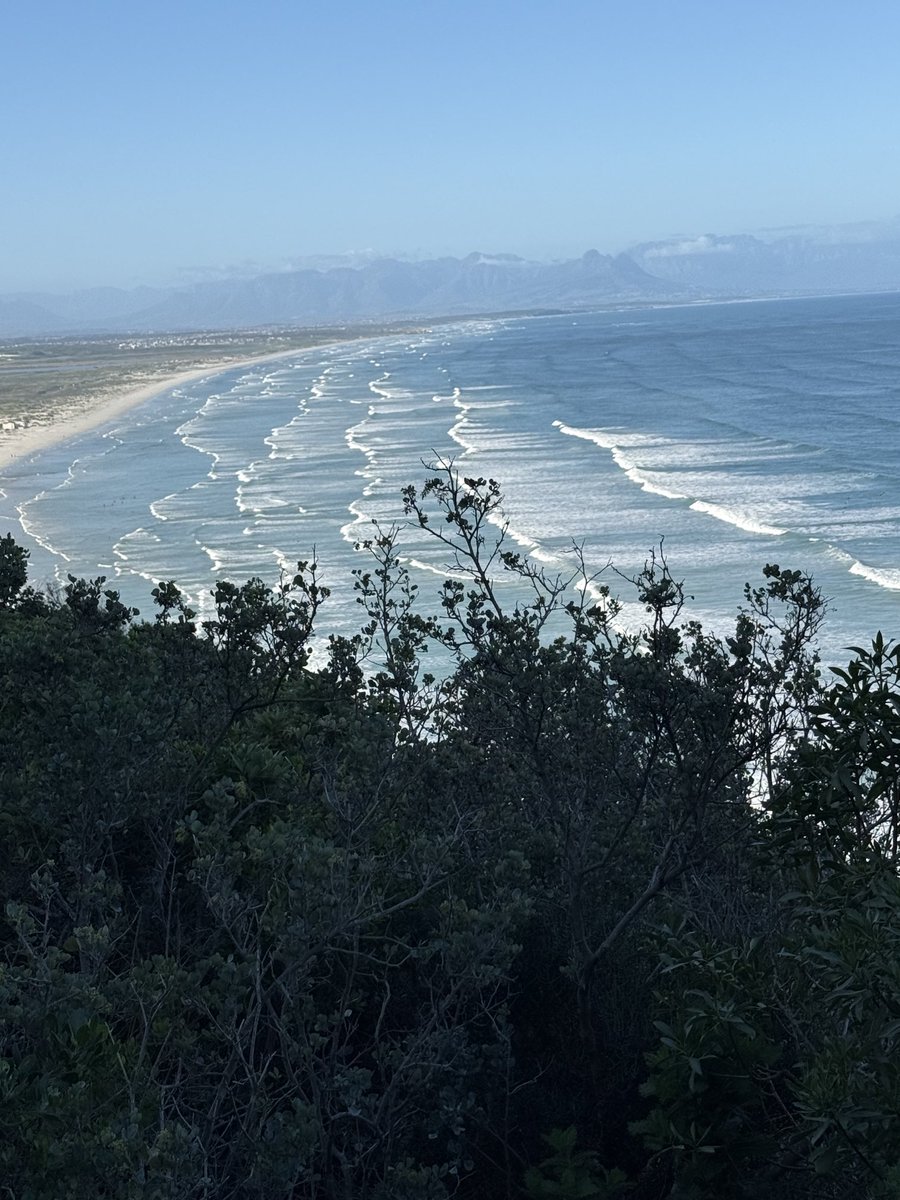 JudeStevens's tweet image. Walking a different path today on a perfect winter’s day 😊 #nature #IndianOcean