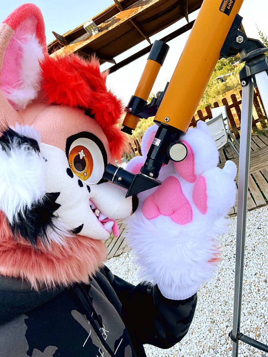 Skoycat's tweet image. Stargazing 🔭 
(Finally my first fursuit friday! Yay)
#FursuitFriday #FursuitEveryday