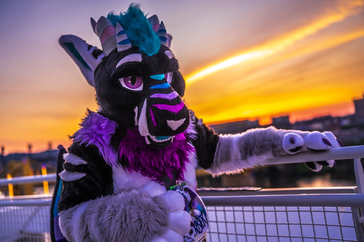 Felk found ya on the sunset 🌇
#FursuitFriday