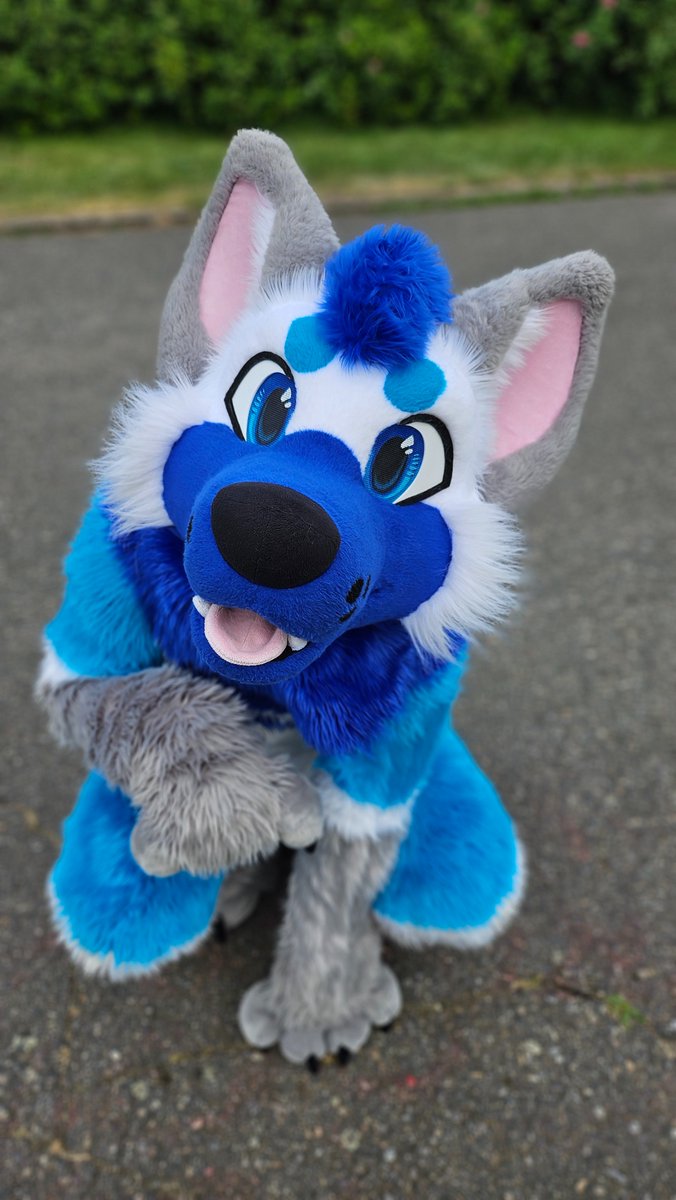 Aran (@aranthewolf) on Twitter photo After 10.000 years, yes I post #FursuitFriday ๐
also photo from #cesfur2025 am I cute? ๐ณ
โ๏ธ <a href="/Fionka_Fursuits/">๐ Fionka Fursuits ๐</a>
๐ท <a href="/skittleshusk/">Swizz / Skittles ๐ฎ๐ช ๐ Animalz, DBC, EF</a> After 10.000 years, yes I post #FursuitFriday ๐
also photo from #cesfur2025 am I cute? ๐ณ
โ๏ธ <a href="/Fionka_Fursuits/">๐ Fionka Fursuits ๐</a>
๐ท <a href="/skittleshusk/">Swizz / Skittles ๐ฎ๐ช ๐ Animalz, DBC, EF</a>