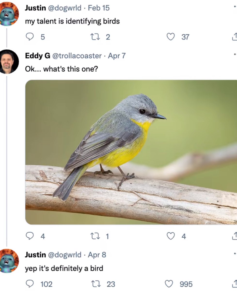 Images AI Could Never Recreate (@imagesaicouldnt) on Twitter photo 