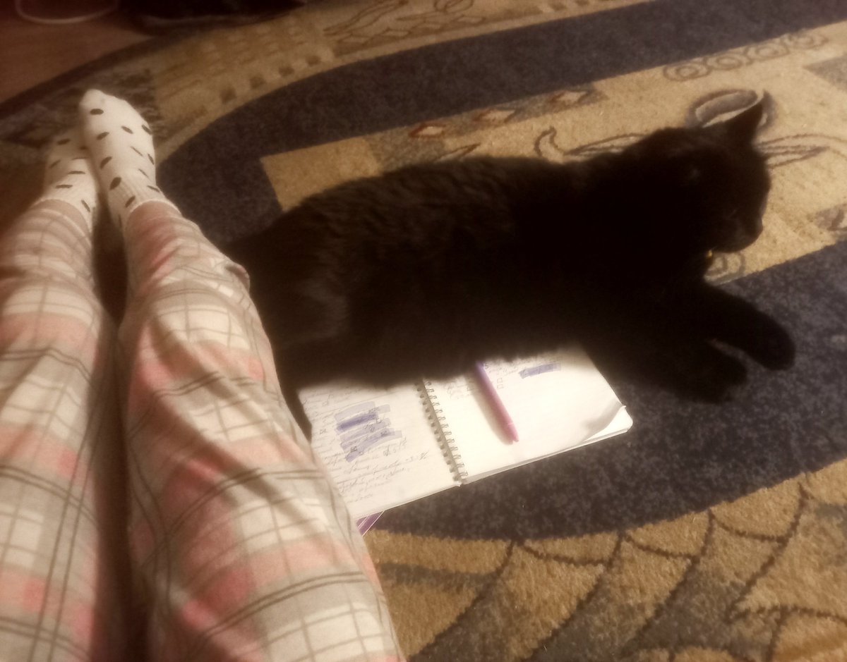 Планировщик и импровизатор как стили жизни