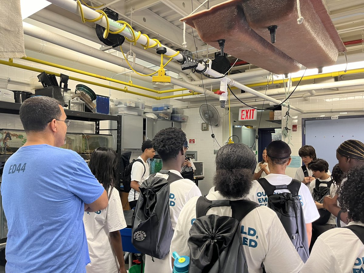 SUNYChancellor's tweet image. Talk about an immersive experience! It was wonderful to join students from @sunyesf’s Timbuctoo Institute for an oyster gathering activity on the final day of their program alongside @BPHACaucus Chair @SolagesNY. The Timbuctoo Institute leaves a clear impact on these students.…
