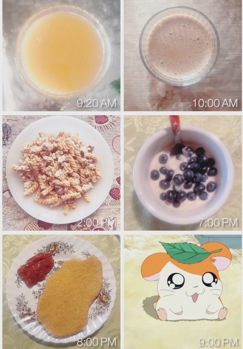 bisoucat's tweet image. today eats!! 820 cals , 47 gr of protein!! 
(っ˘ڡ˘ς)🍜🥄❤️