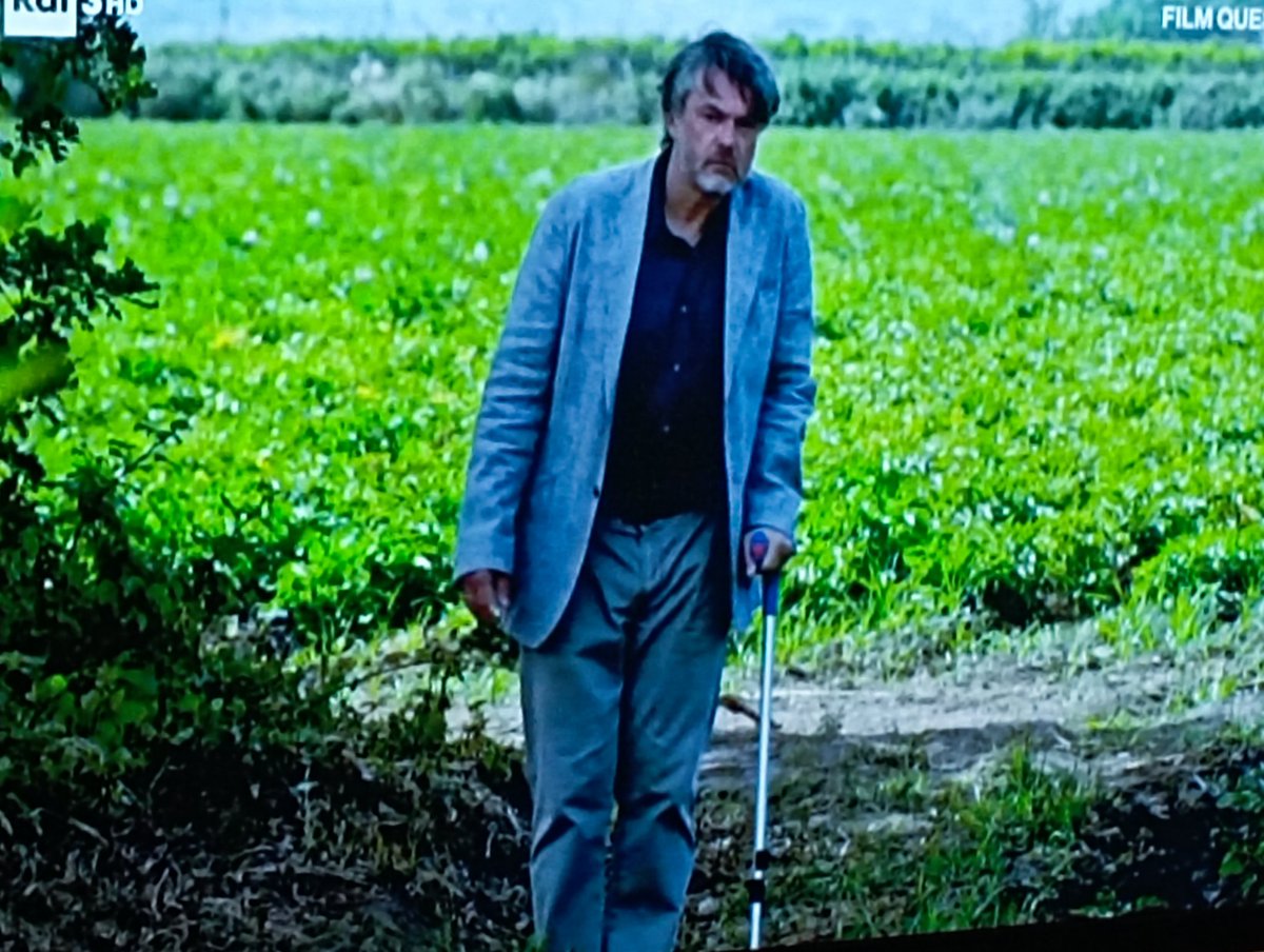 Andrea1926's tweet image. &quot;C&apos;è qualcuno?Chi mi vuole menare?&quot; #upas