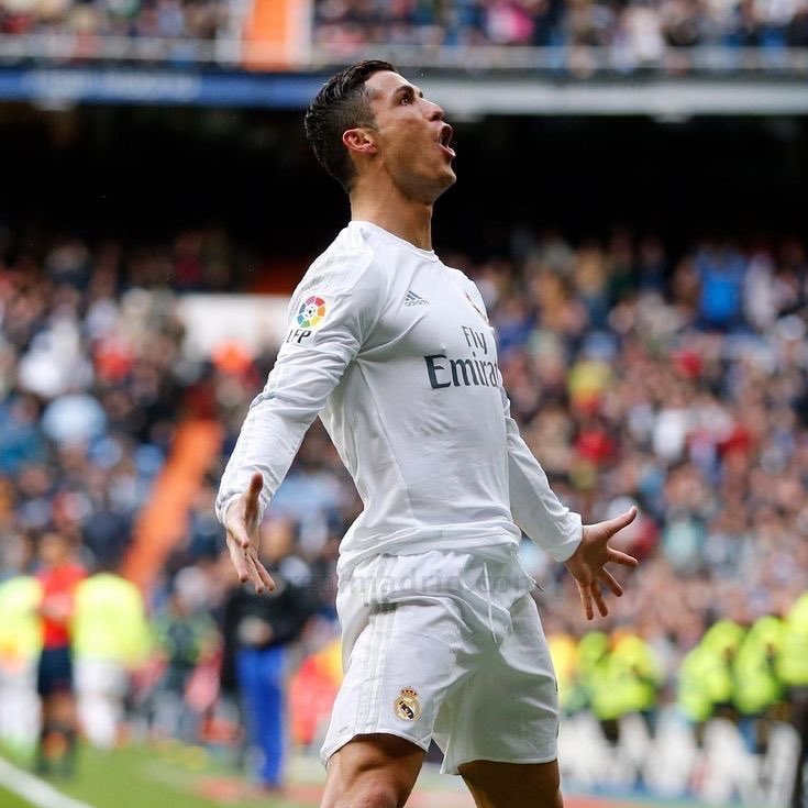 Madrid Zone tweet media