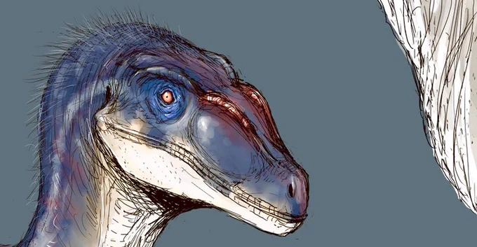 Happy 24th anniversary to Jurassic Park lll