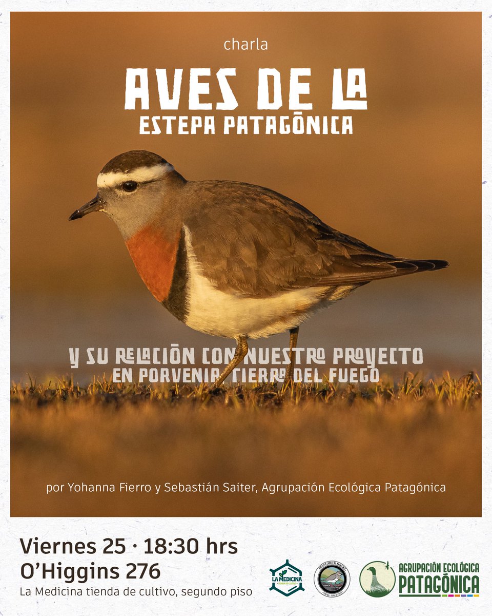 Próximo viernes nos reencontraremos para conversar sobre las aves de la estepa patagónica y sus ambientes.
🪶🌱💚

📍Punta Arenas, Magallanes.