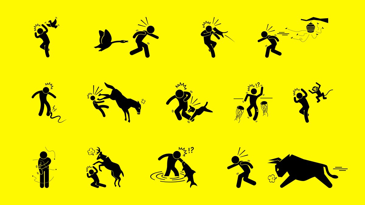 How many of these can you cross off your #AnimalAttack bingo card? Animal  attack icons by Gan Khoon Lay: https://t.co/r7UBwrOICk