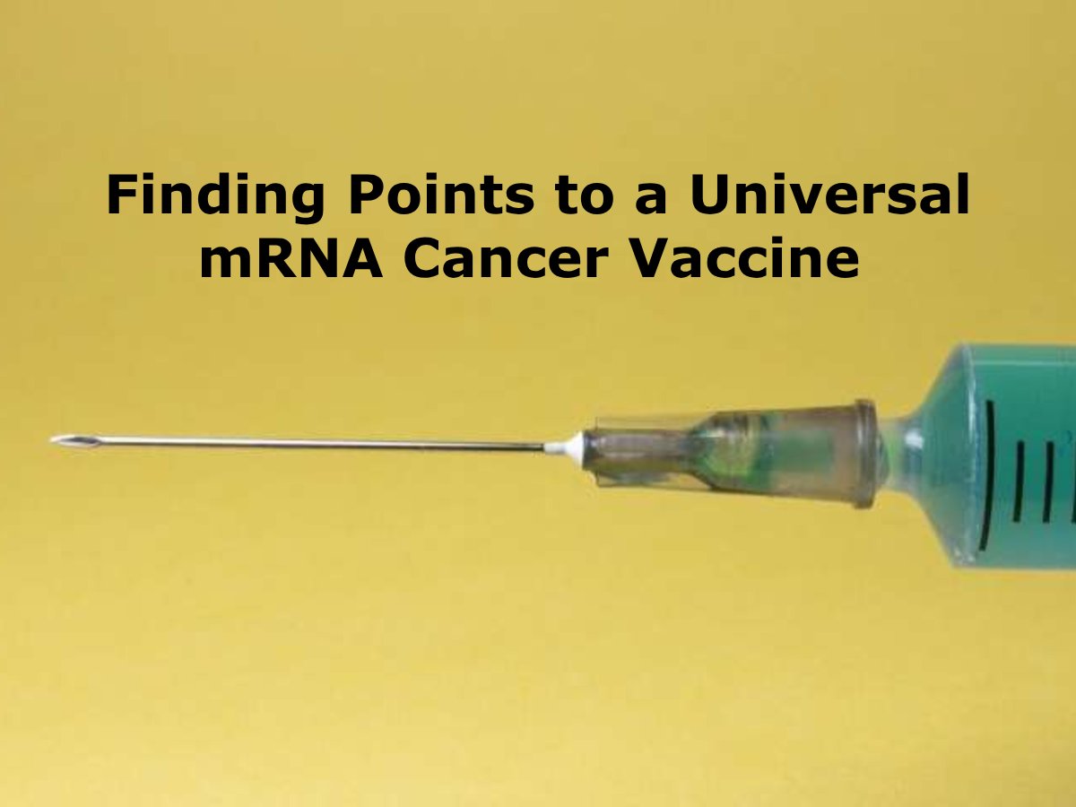 Immunize_USA's tweet image. According to a study, a #vaccine designed not to target cancer specifically stimulates a strong immunologic response, which causes a very strong anticancer reaction in the immune system.
medicalxpress.com/news/2025-07-p…
#cancer #publichealth #mrna
Donate
immunizeusa.salsalabs.org/donatetotip202…