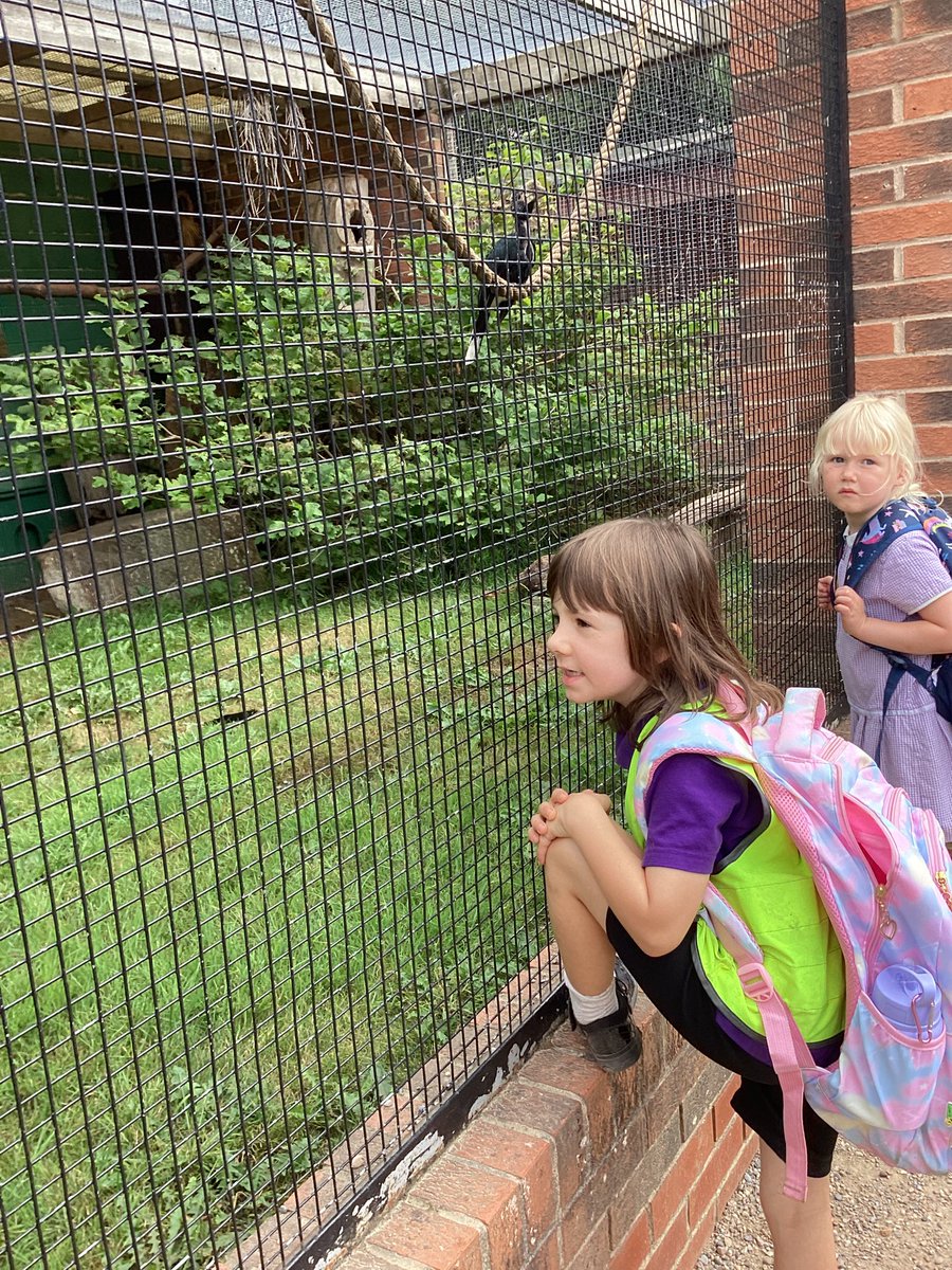 Tadcaster Primary Academy 💜 tweet media