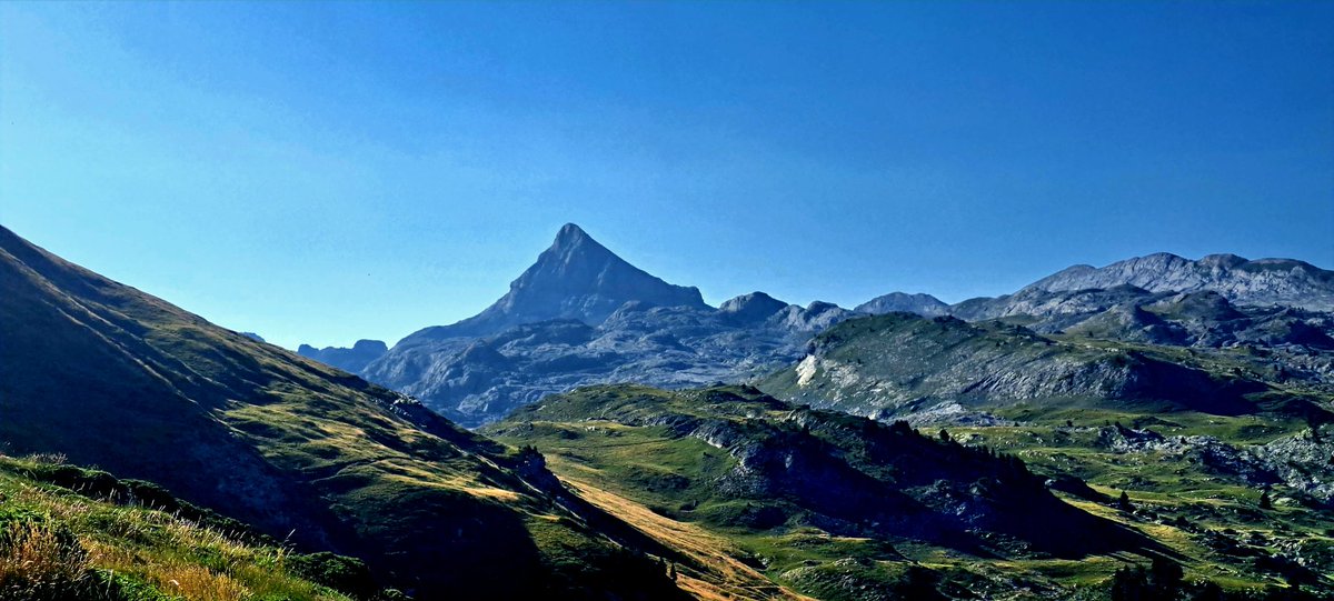 Iñigo Salvoch tweet media