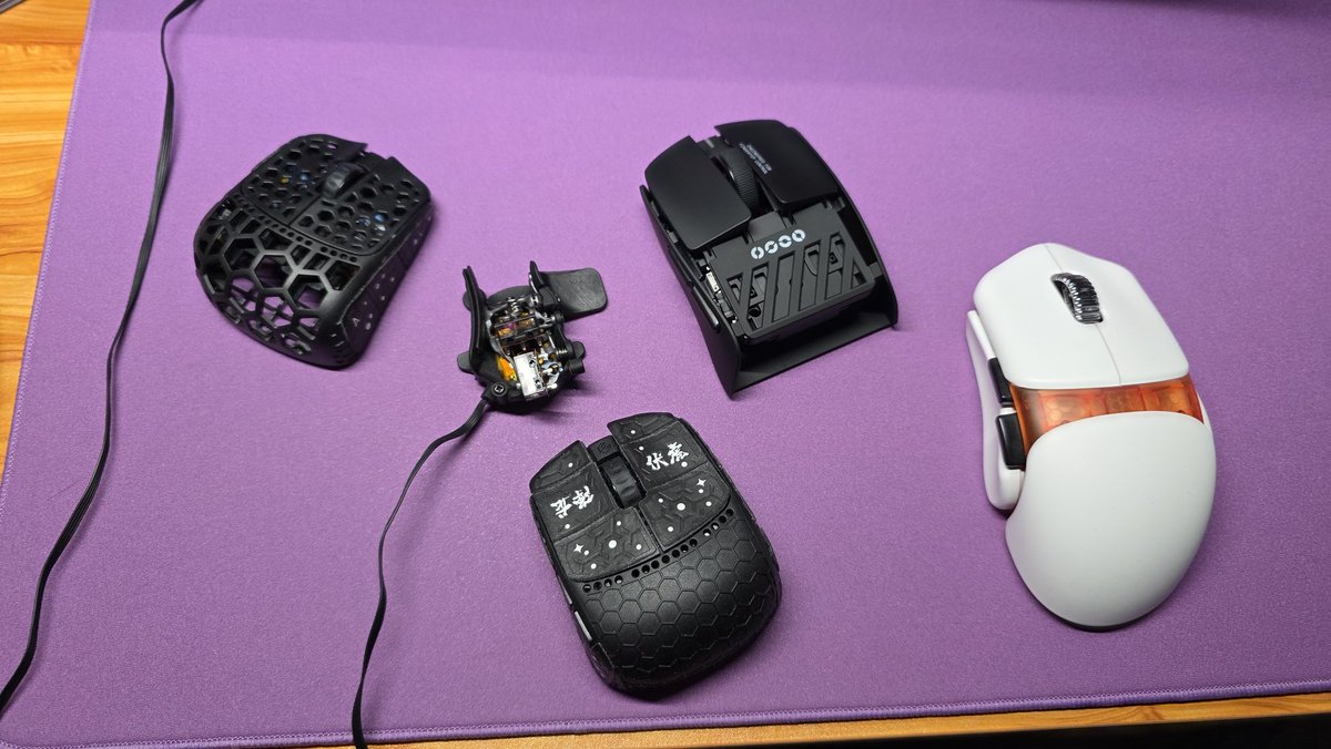 When you know you have a mouse problem (but you keep getting more anyway)
