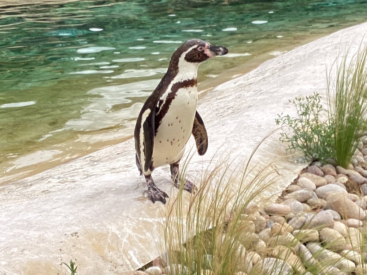 Tadcaster Primary Academy 💜 tweet media