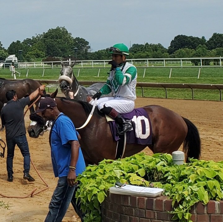Saddles and Sulkies (@sadandsulk) on Twitter photo Back to back <a href="/ACruzz01/">angel.cruzz01</a> <a href="/DelParkRacing/">Delaware Park</a> . The second one for <a href="/RPSracingstable/">Richard P. Sillaman</a> .
<a href="/StantonSalter/">Stanton Salter</a> <a href="/whatthebrooklyn/">Brooke Centeno</a> . Back to back <a href="/ACruzz01/">angel.cruzz01</a> <a href="/DelParkRacing/">Delaware Park</a> . The second one for <a href="/RPSracingstable/">Richard P. Sillaman</a> .
<a href="/StantonSalter/">Stanton Salter</a> <a href="/whatthebrooklyn/">Brooke Centeno</a> .