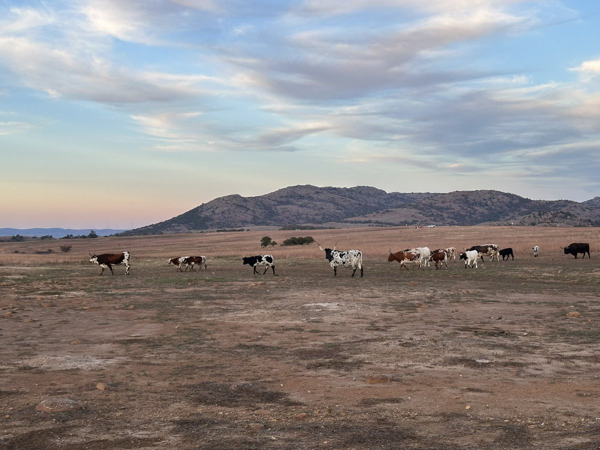 BrianAllenWX's tweet image. You can’t force anyone to respect you.
But you can refuse to be disrespected.
📍Wichita Mountain Wildlife Refuge