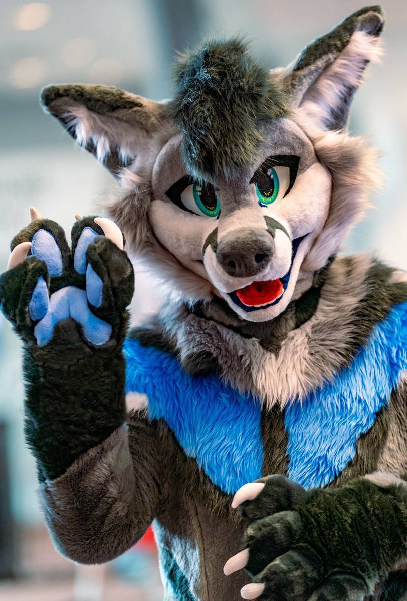 MakoShox's tweet image. It's finally time for my first #FursuitFriday with some pics from AC!
Massive thanks to @Coyotes_Calling for being an amazing creator to work with, and I couldn't be happier with how he turned out!
📸@SirDrewTheFree
