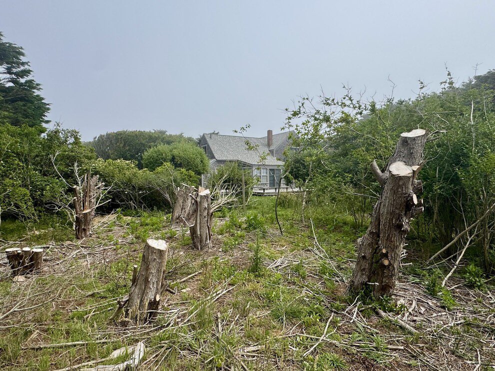 ACKCurrent's tweet image. The Nantucket property owner who allegedly cut down his neighbor’s trees to create ocean views for himself and then list his estate for sale at $10 million will face criminal charges following a probable cause hearing in Nantucket District Court: nantucketcurrent.com/crime/charges-…