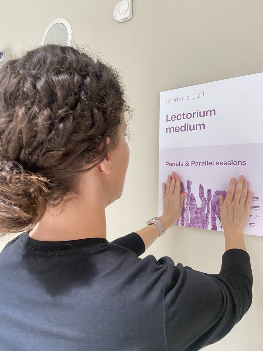 Czech Section of INSEA tweet media