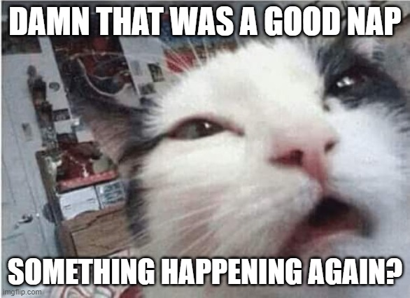 Adri (@rekt_retail) on Twitter photo It's been a good break, see some frens still here, <a href="/uttamsangwan/">tom {💵, 🐾}</a> at 10 posts a day ^^ You doin oke sir ? It's been a good break, see some frens still here, <a href="/uttamsangwan/">tom {💵, 🐾}</a> at 10 posts a day ^^ You doin oke sir ?
