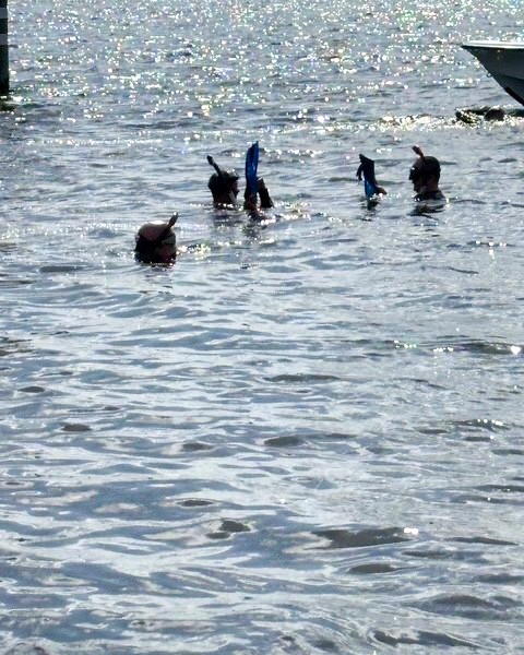 OrangeCoSheriff's tweet image. Our Marine and Agriculture units were out training today between all the stormy weather! While out on the Conway Lake Chain they cleaned large trash bags full of garbage and pollution from the water.
Thank for you helping keep our lakes clean and safe!!