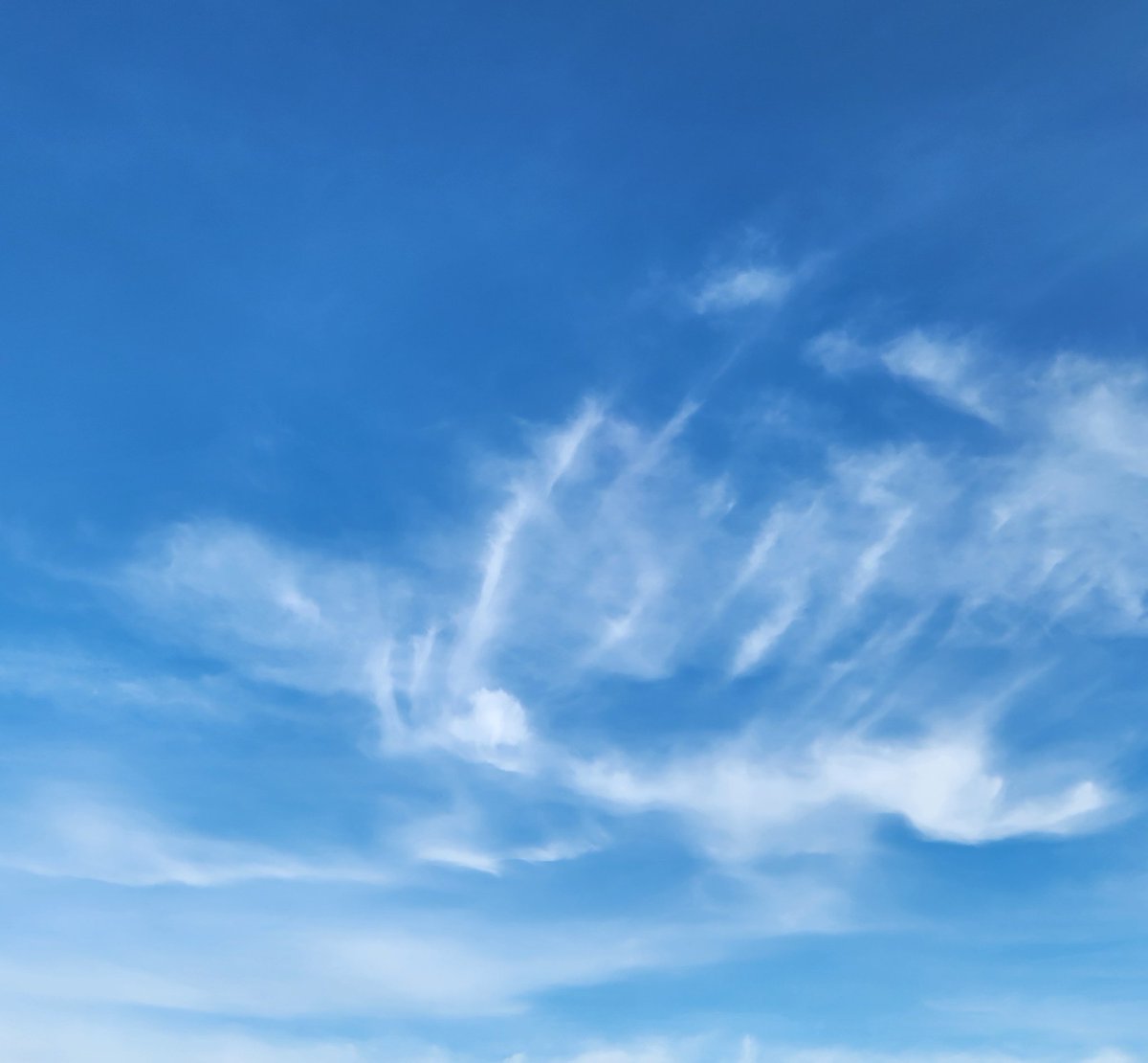 maneiro0312's tweet image. おはよ ♡ 金曜日さん  😌✨ 4:44 ✨໒꒱· ﾟ