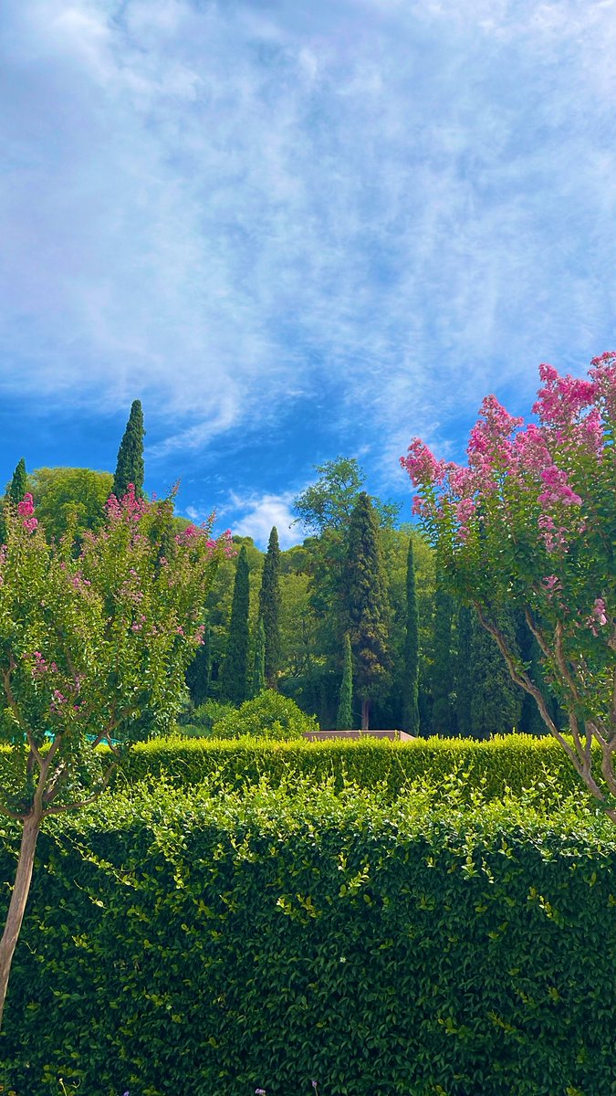 اتوقع قصر الحمراء وغرناطة احلا مكان بتزورونه بحياتكم ❤️