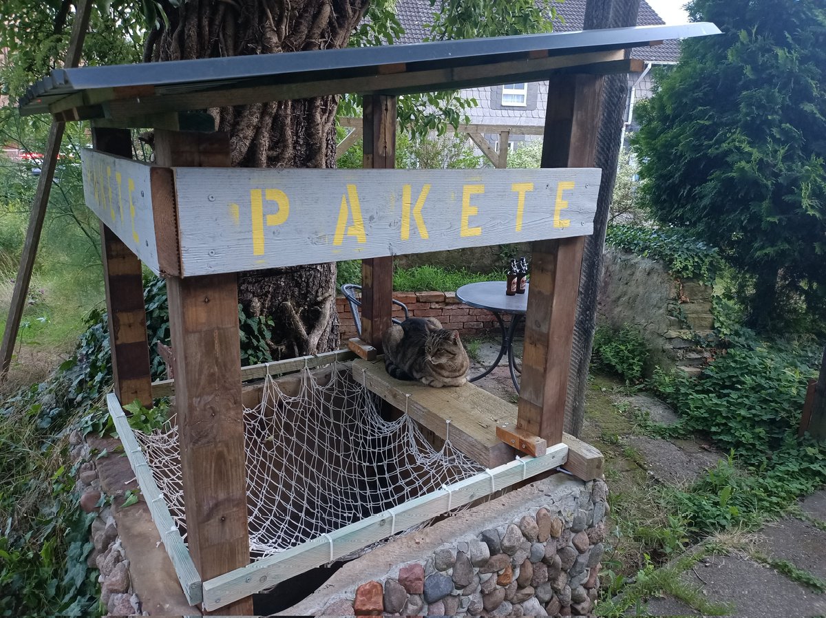 kineyDE's tweet image. Sind zwar garkeine Pakete da, aber Oli passt trotzdem auf, dass keine Paketdiebe kommen 😼