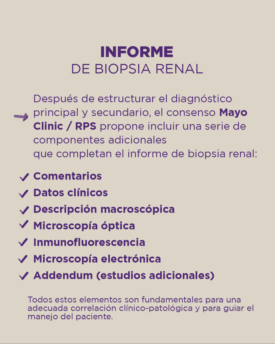 nephropath_gc's tweet photo. 📄 INFORME DE BIOPSIA RENAL | Serie 3 de 3
Además del diagnóstico, el informe debe incluir:
– Comentario clínico
– Resumen de datos clínicos
– Descripción macroscópica
– Hallazgos en MO, IF y ME
– Addendum con estudios adicionales
Basado en: Sethi et al. JASN 2015
#nehropatholgy https://t.co/O89xZuKOZf